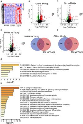Identification of the changes in the platelet proteomic profile of elderly individuals